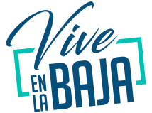 Vive La Baja Desarrollos Inmobiliarios - Sistema ERP Oracle NetSuite